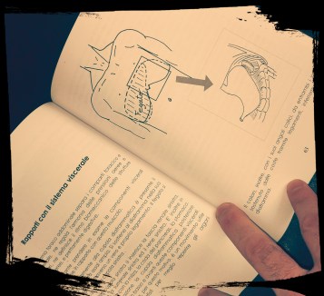 P_20180102_152133_vHDR_On_1_1